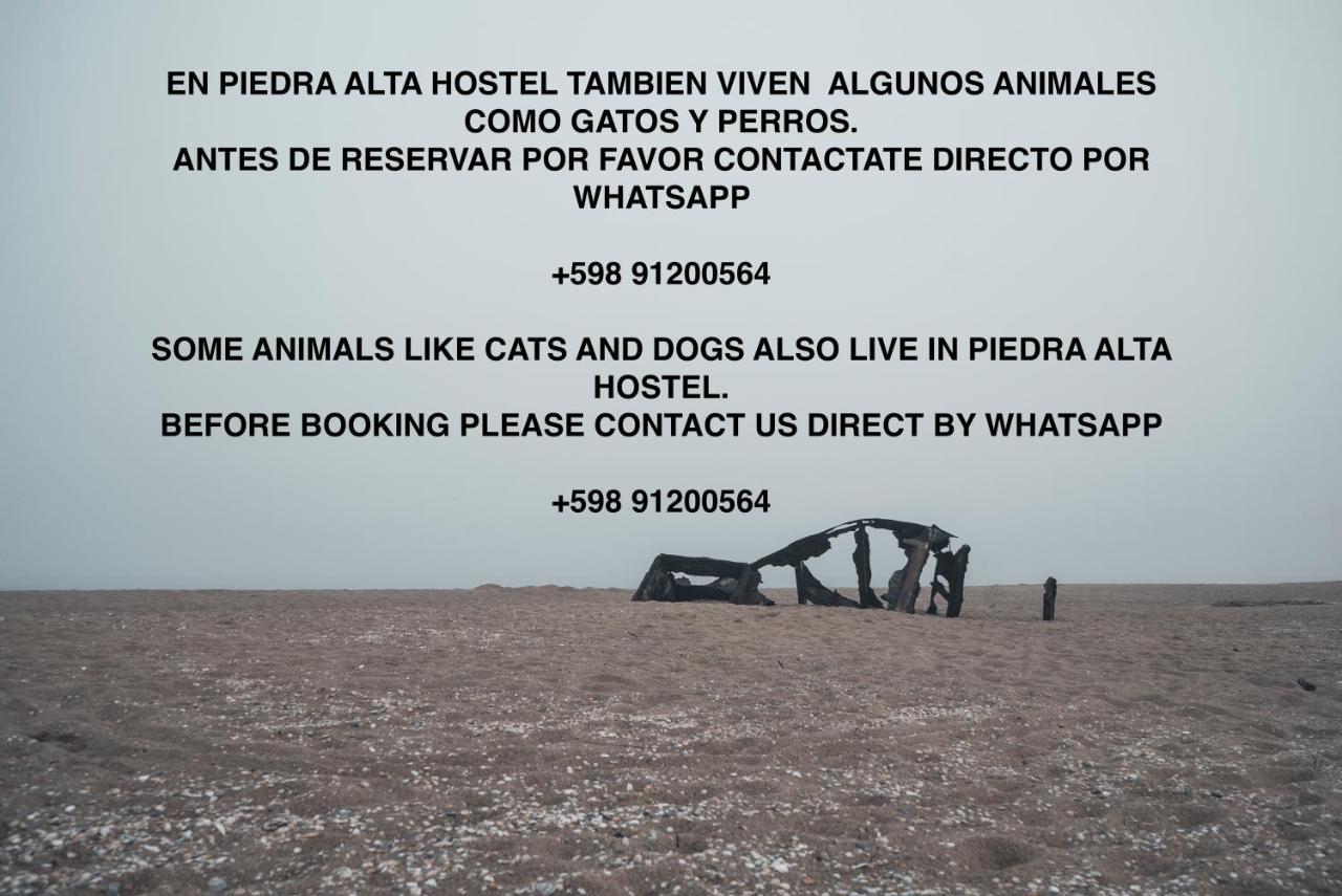 Piedra Alta Hostel & Suites La Pedrera Exterior photo